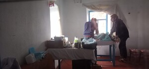 Волонтери організували стерилізацію собак біля зони бойових дій в Оріхові