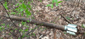 У київських лісах продовжують знаходити снаряди