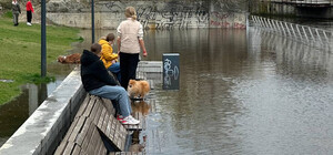Стало відомо, що пік паводків у Києві ще попереду