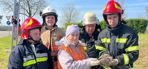 У Запоріжжі врятували кішку з кошенятами від змії