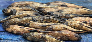 На Одещині ввели заборону на вилов бичка