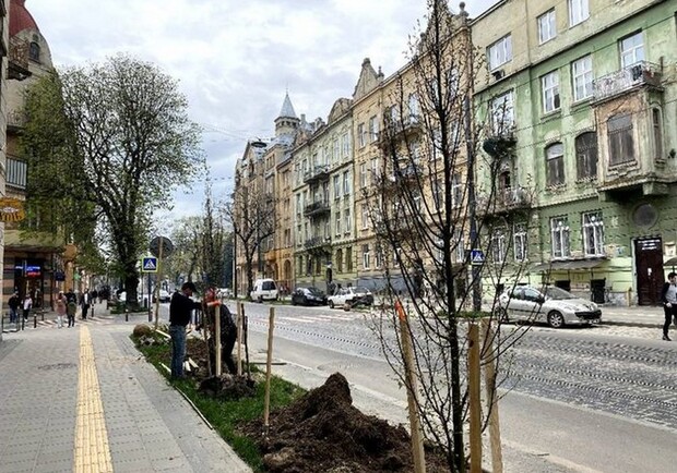 На вулиці Степана Бандери посадили 108 дерев, а біля Органного залу висадять 2500 кущів 
