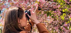 Квітучі дерева та екскурсії: у Дніпрі на вихідних працюватиме ботсад