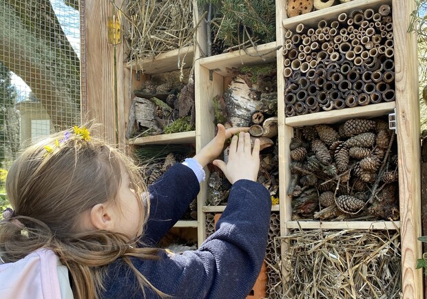 У парку «Знесіння» встановили будиночок для диких бджіл та ос. 