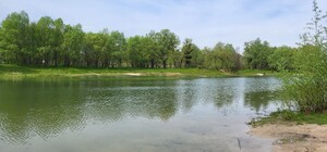 Незабаром розпочнеться розчищення озера Синього на Виноградарі