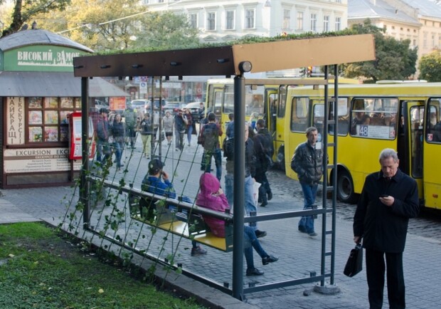 У Львові судили дівчину за секс на зупинці громадського транспорту. 