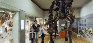 Державний природознавчий музей 