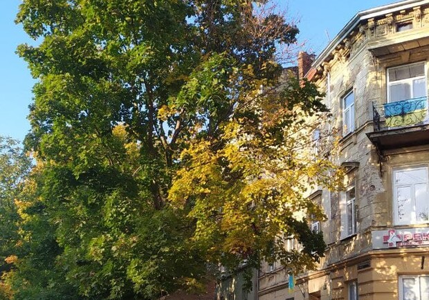 У Львові виявили сім'ю росіян, які понад рік нелегально проживала у місті. 