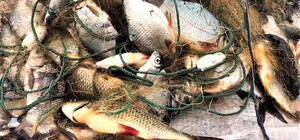 В Запоріжжі на Хортиці вилучили браконьєрські сіті з мертвою рибою