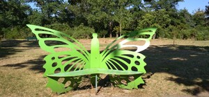 Зливи або спека: яким буде червень в Одесі