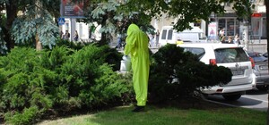 У центрі Дніпра боролися з щурами, які рознесли сміття