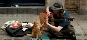 Вуличні музиканти скаржаться, що на Дерибасівській заборонили виступати