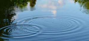 У Харкові та області за тиждень потонули чотири особи, одна з них — в своєму дворі