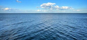 Свіжий моніторинг води в Одесі: що відомо на 19 липня