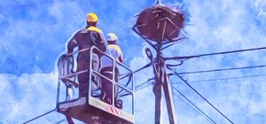 Отримай відповідь: куди повідомляти про виявлені гнізда лелек на електроопорах на Одещині