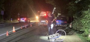На Одещині в двох ДТП загинули велосипедисти