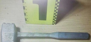 Вкрав черепаху і зварив із неї суп: одесита підозрюють у жорстокому поводженні з твариною