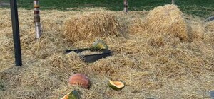 У Дніпрі містяни познущалися з фотозони у сквері Усачова