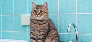 У Дніпрі сталися аварійні відключення води: адреси