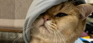 Якою буде погода наступного тижня у Дніпрі: прогноз погоди