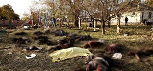 ООН провів засідання Ради безпеки через ракетний удар по Грозі на Харківщині: що сказали в РФ (відео)