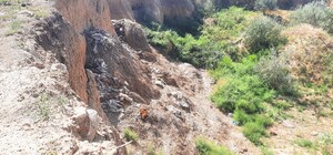 На Одещині виявили занедбаний кар'єр із трупами тварин