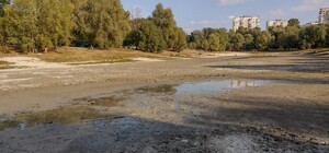 У Києві шукають виконавця робіт для розчищення озера Синє