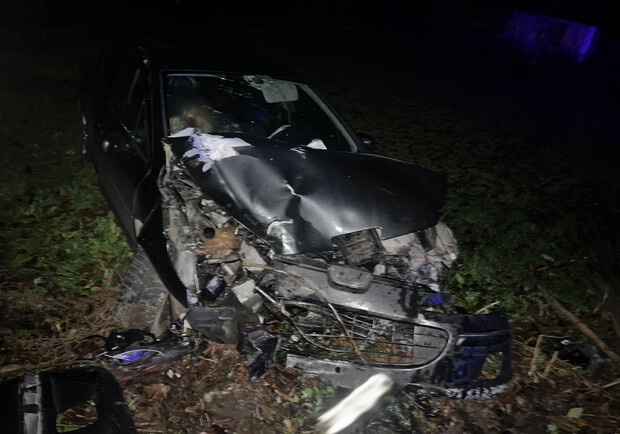 У Львівській області водій з Тернополя протаранив дерево, постраждала 28-річна жінка 