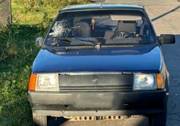 У Львівській області водій збив пішохода 