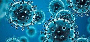 В Україні зареєстрували перший випадок нового коронавірусу «Пірола»: симптоми