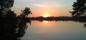 У найбільшому озері у Києві вимерла риба