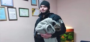 Підкидав та буцав ногами: у Києві в парку чоловік знущався над цуценям йорка