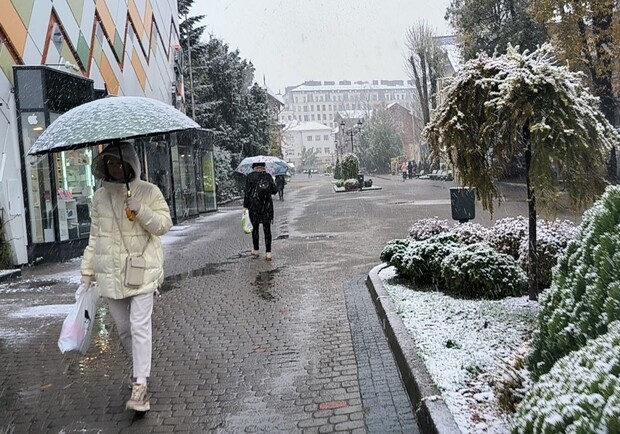 18 листопада у Львівській області випав перший сніг. 