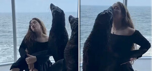 Фотографувалися з морськими котиками у номері: чим закінчився скандал у дельфінарії 