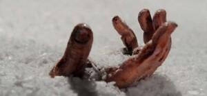 Офіційно: скільки людей загинули та постраждали під час шторму в Одесі