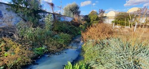 В Одесі каналізаційна станція забруднює пляж та Чорне море