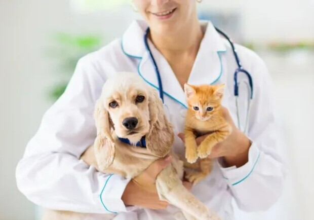 З 5 по 7 грудня у ЛКП «Лев» знову вакцинуватимуть котів і собак від сказу. 