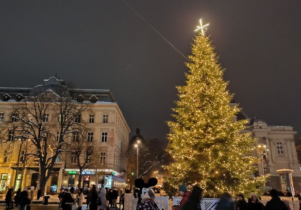 У Львові засвітили головну новорічну ялинку міста – відео. 