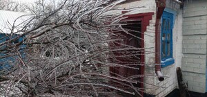 У Межівській громаді на будинок 83-річної жінки впало обледеніле дерево