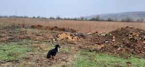 На Одещині виявили стихійне звалище