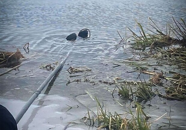 У Львівській області чоловік втопився в озері 