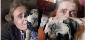 Брала тварин на перетримку і доводила до смерті: в Одесі розшукують живодерку