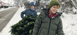 Куди викидати новорічні ялинки у Києві: адреси пунктів утилізації