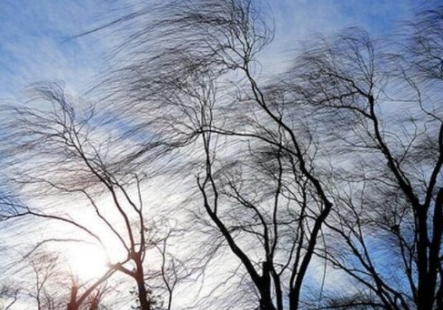 Синоптики попередили про пориви вітру та ожеледицю на 4 і 5 січня 