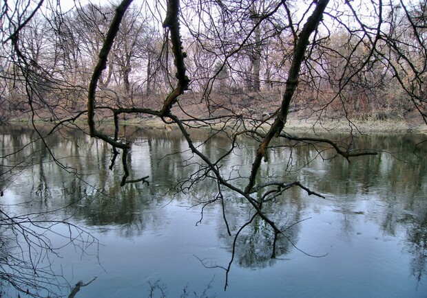 У річці біля Жовкви знайшли тіло чоловіка, якого шукали 10 днів. 