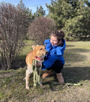 Притулок для собак у Запоріжжі: як прийти погуляти з псом або взяти його під опіку