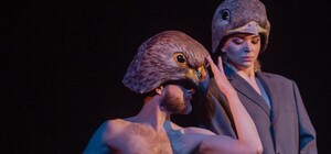 Вистава «Птахи»