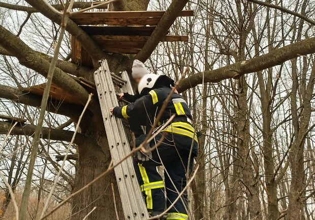 У Стебнику рятувальники визволили дитину з саморобної хатинки на дереві. 