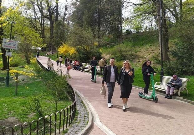 Львів'ян закликали не відвідувати міські парки через обробку від кліщів. 