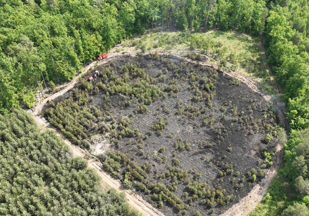 На місці згорілого внаслідок падіння Shahed на Львівщині висадять новий ліс. 